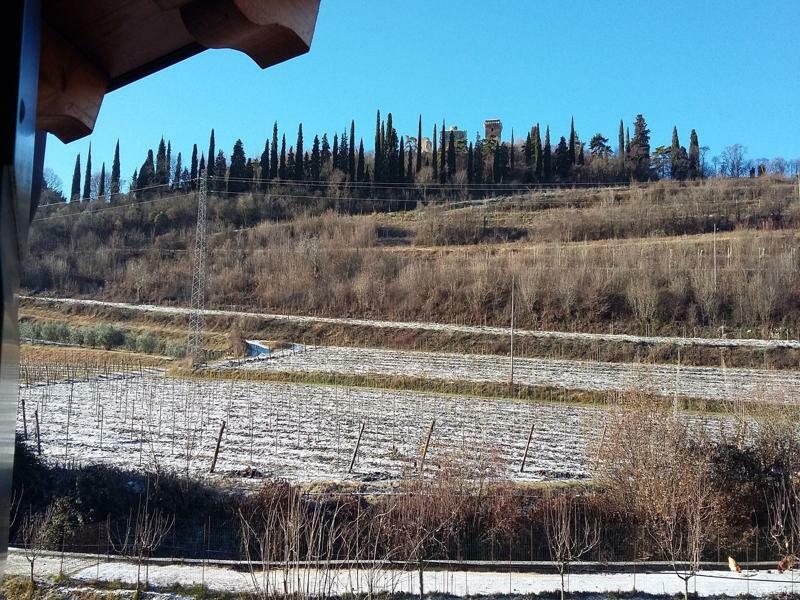 Agriturismo Corte Carolina Verona Luaran gambar